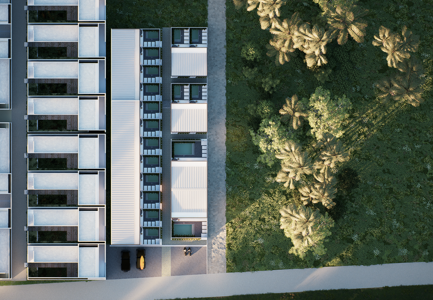 Birdseye1